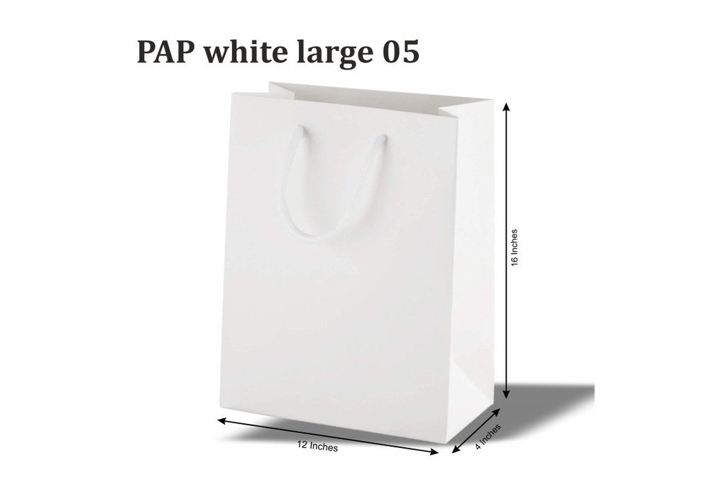 PAP Large 05