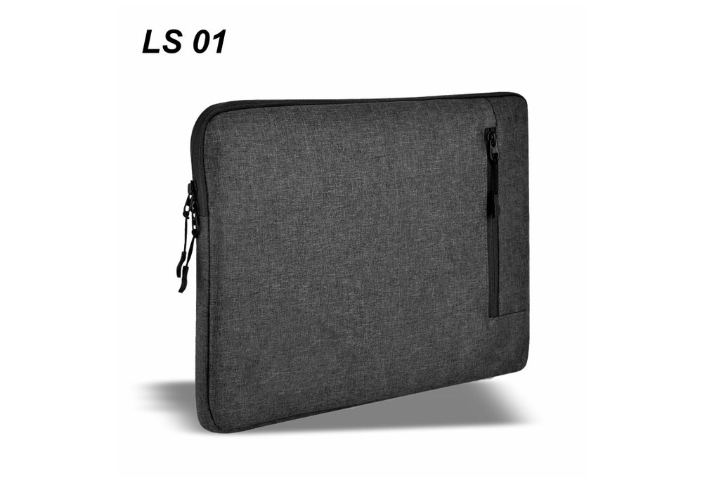 LS 01