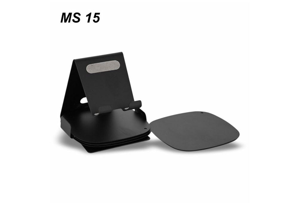 MS 15