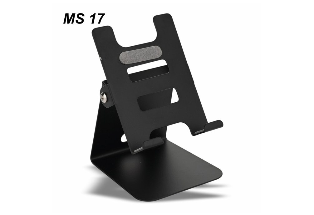MS 17