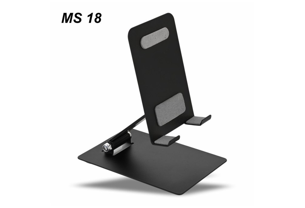 MS 18